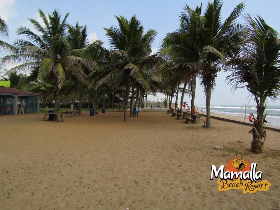 מהבליפורם Mamalla Beach Resort מראה חיצוני תמונה